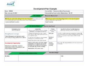 Development-Plan-Example - Accendo Leadership Advisory Group
